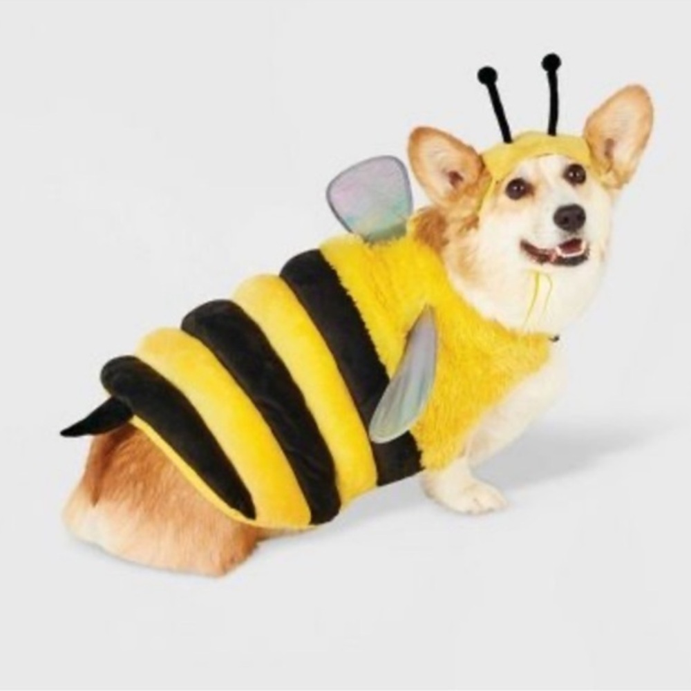 Bumble Bee Dog halloween Costume - Hyde & EEK! stinger wings and antennae hat